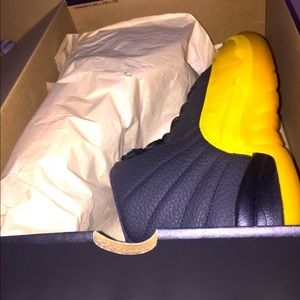 Air Jordan 12 retro
